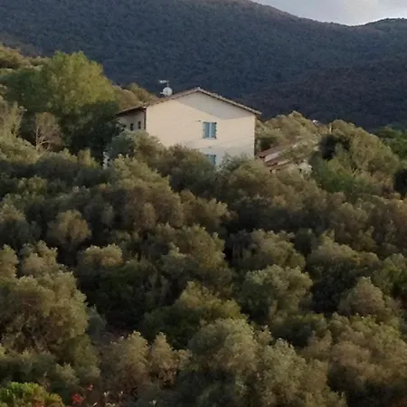 Tenuta Di Apartment *